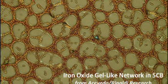 NSF Awards UW’s Center of Excellence for Materials Research and Innovation – UPRM Chemical Engineering Faculty Contribute