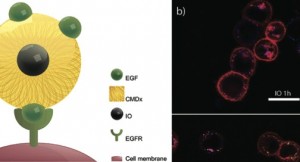 acs_nano