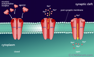 rcpt_sys_nic_ag1