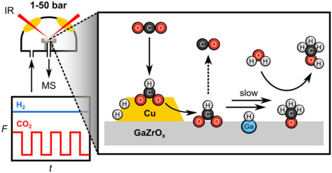 images_large_ja5c04835_0009