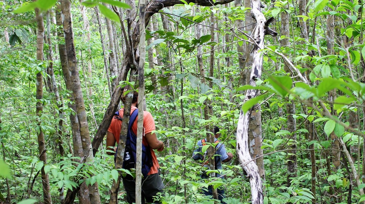 Caminata en el Bosque Comunitario de Rio Hondo