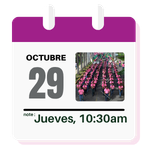 29 oct