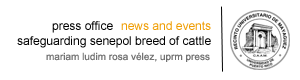 Safeguarding the Senepol Breed of Cattle in the Caribbean