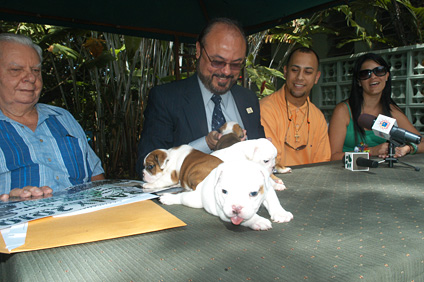 Desde la izquierda, los doctores Fred Soltero Harrington y Jorge Rivera Santos, rector del RUM. Le siguen Michell Valentín y Glenda Rivera.