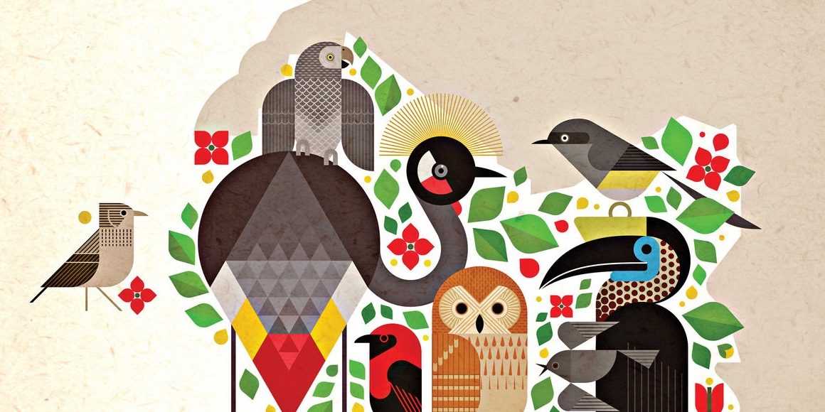 guide-birdsong-western-africa