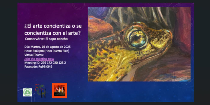 Arte y conciencia