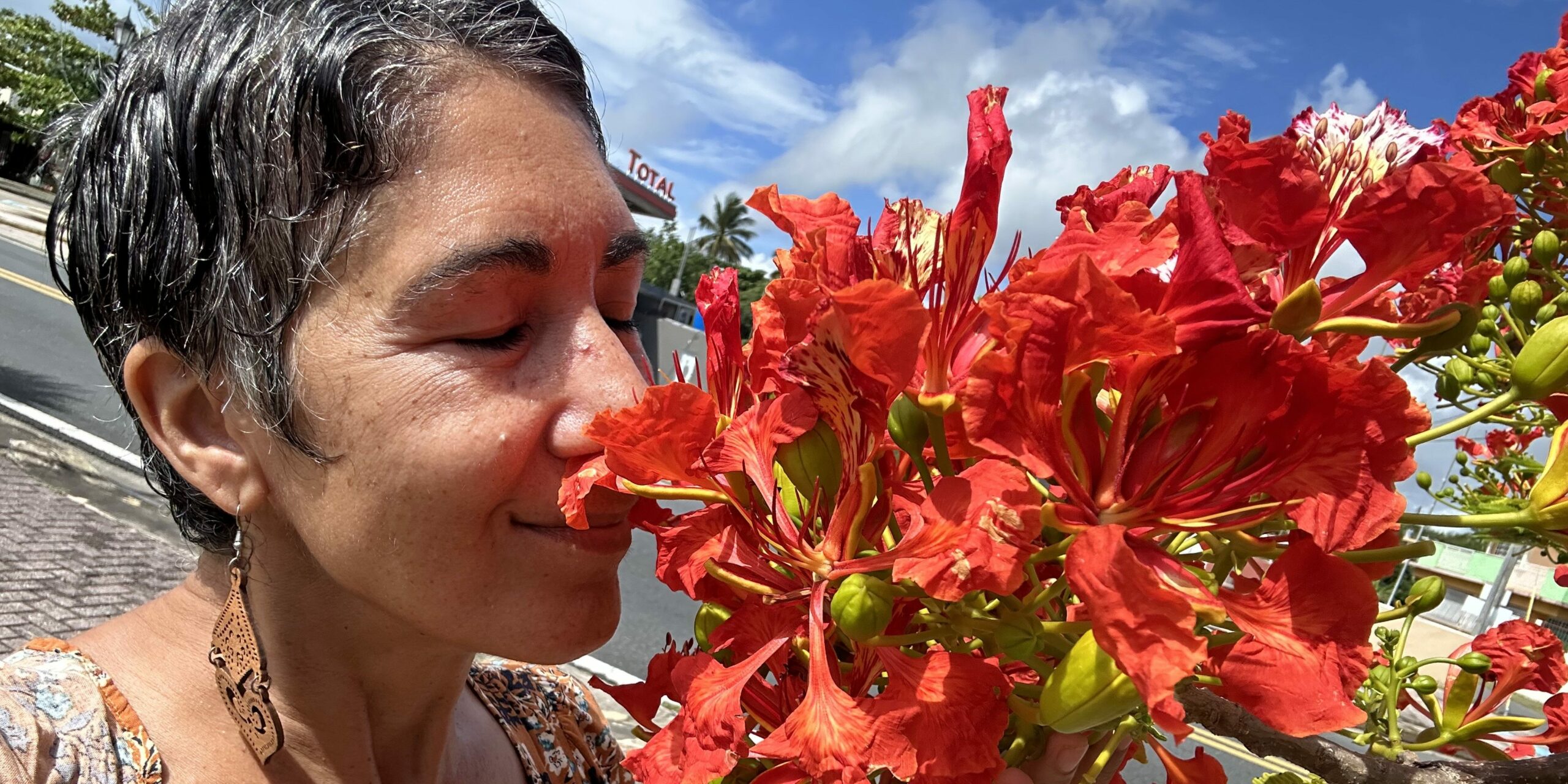 Lola Rosario Aponte (1)