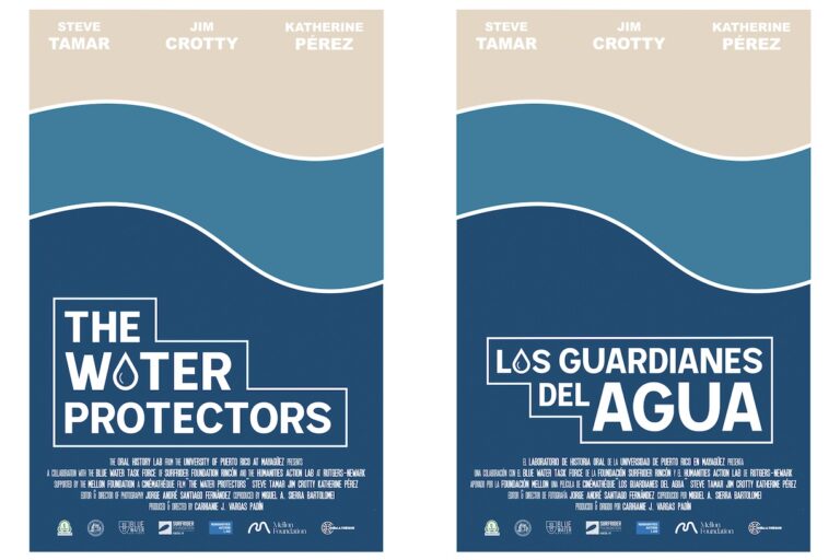 Water Protectors Water Protectors