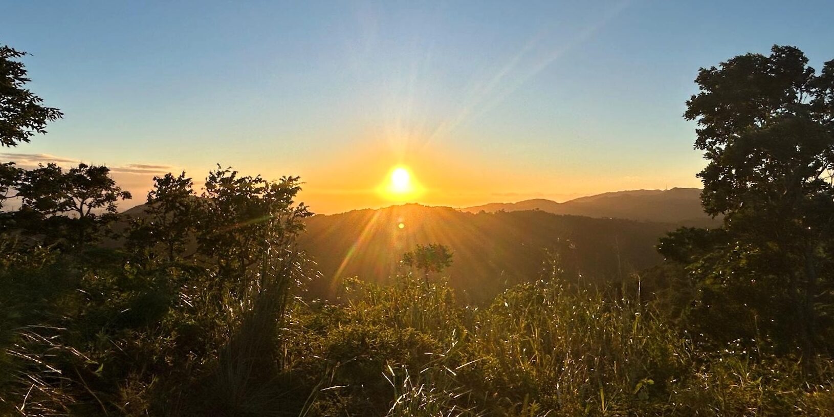 Rubias, canto de luz