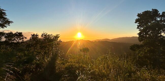 Rubias, canto de luz