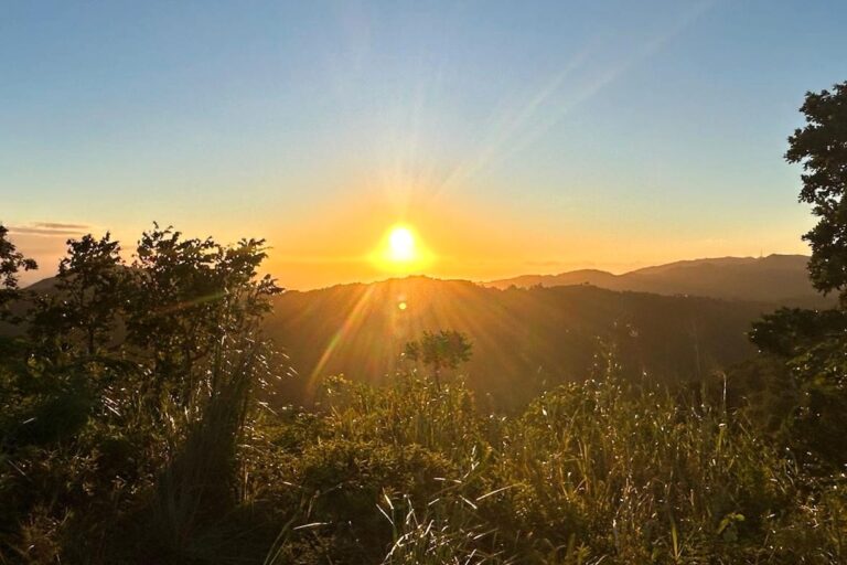 Rubias, canto de luz