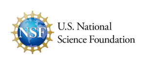 Logo NSF