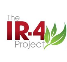 Proyecto IR-4