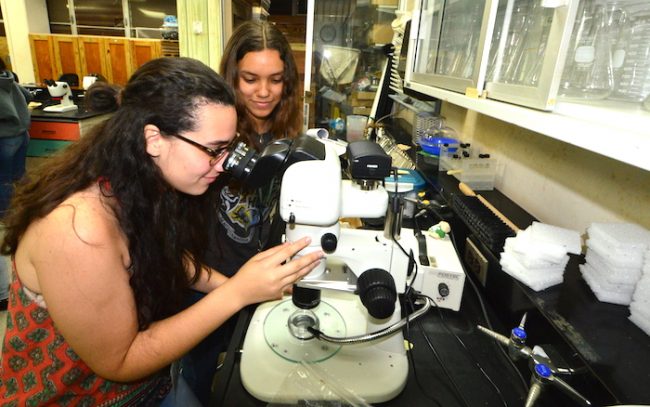 Cincuenta y dos estudiantes de escuela intermedia y superior participaron durante este verano del campamento de Agrociencia. Foto Carlos Díaz/Prensa RUM Agrociencia