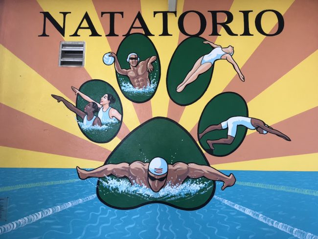 Nuevo mural del Natatorio. Foto suministrada Mural natatorio