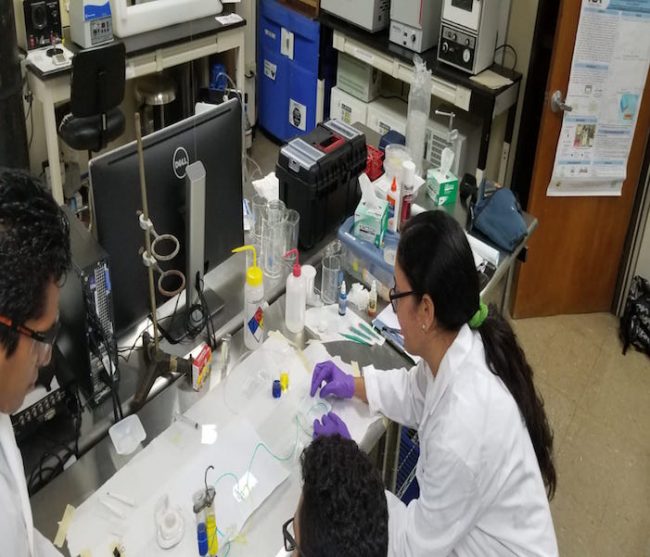 Maestros y estudiantes aprendieron sobre nanotecnología y manufactura de células. Suministrada