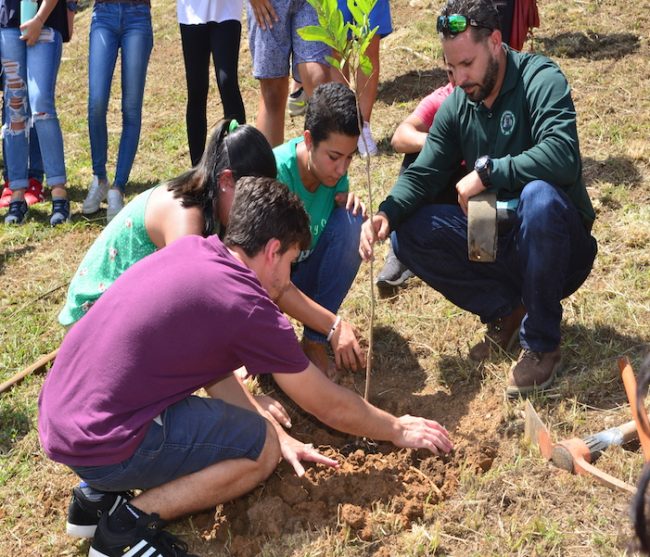 El retoño se plantó, en el área de los árboles frutales, y se espera que comience a dar frutos al mismo tiempo que se gradúe esta clase entrante. Carlos Díaz/Prensa RUM