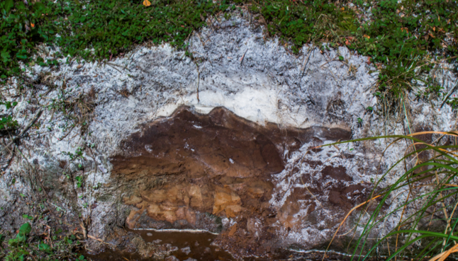 Screen Shot 2018-08-31 at 12.15.48 PM