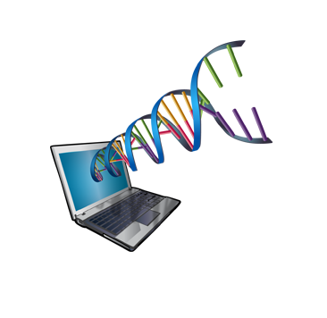 1*DR1v-Np-HyduhCASpB7XcQ