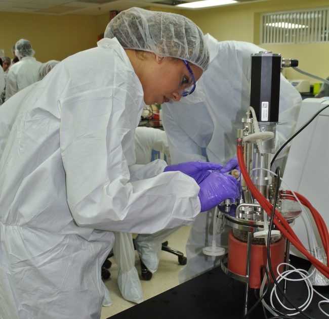 Las sesiones educativas incluyen cohortes de unos 30 jóvenes, quienes durante tres días se capacitan en los conceptos de un sistema de bioprocesamiento a gran escala. Foto suministrada Amgen Biotalents