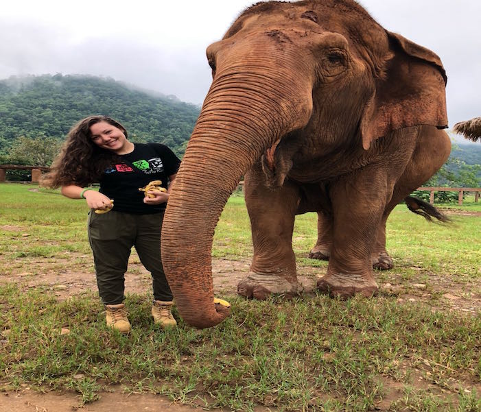 La colegial se encargó de vigilar la dieta y el comportamiento del elefante a su cargo. Suministrada