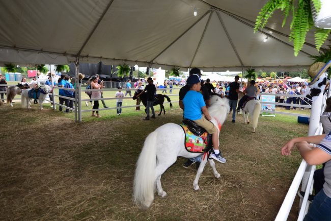 Los más chicos tuvieron la oportunidad de interactuar con los animales. (Foto Carlos Díaz/Prensa RUM)
