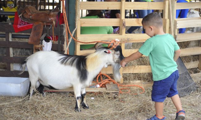 Uno de los componentes más relevantes de la Feria es la educación sobre  temas agrícolas. (Foto de archivo)