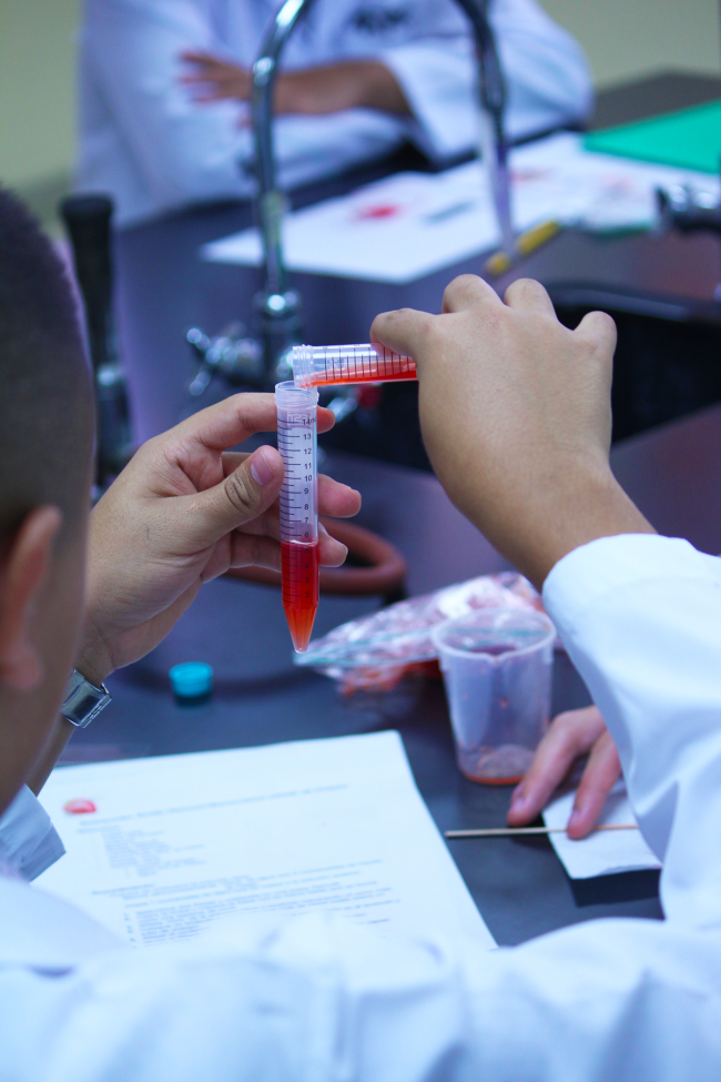 Entre las actividades, los jóvenes extrajeron DNA de una fresa y utilizaron la energía que provenía de la fruta para encender una bombilla.