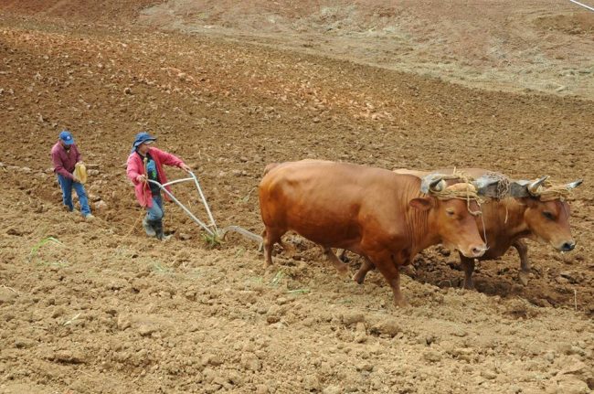 51339514_964621100593551_6633562931244040192_o