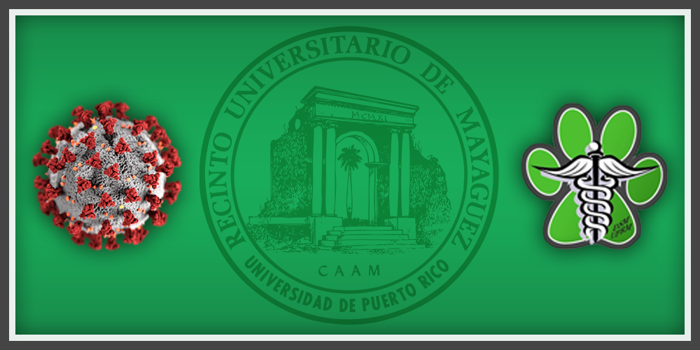 El Recinto Universitario de Mayagüez (RUM) se encuentra cerrado desde el pasado mes de marzo, ante la presencia del virus del COVID-19, que ha afectado a los once recintos de la Universidad de Puerto Rico (UPR), así como a todo el país.