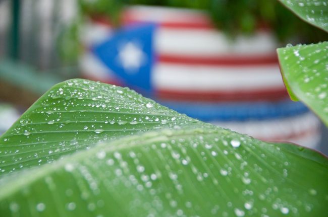 El Decano del SEA anunció que ante la extraordinaria acogida que han tenido las dos ediciones anteriores, ya tienen en agenda la tercera edición de Extensión Virtual que será del 22 al 26 de junio. Foto SEA Extensión virtual