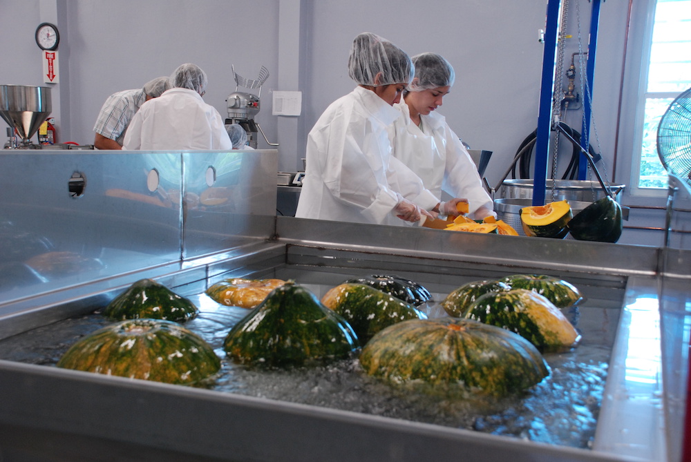 Bachillerato en Ciencias en Ciencia de Alimentos