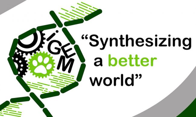 Portada IGEM