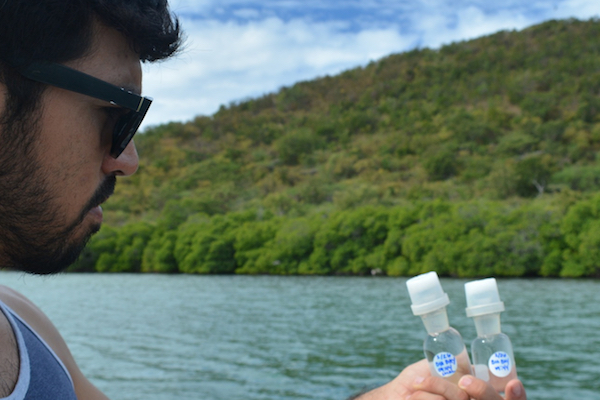 Erick Manuel García Troche, egresado del Recinto Universitario de Mayagüez (RUM) de la Universidad de Puerto Rico (UPR), logró compartir los hallazgos de su investigación sobre la Bahía Bioluminiscente de La Parguera a través de la publicación de su artículo en la prestigiosa revista científica PLOS ONE, una plataforma de acceso abierto que busca empoderar a los investigadores para que den a conocer su trabajo de forma inmediata en vías de impulsar el progreso de la ciencia.