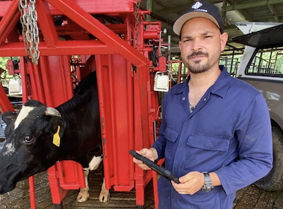 El agrónomo Carlos Alberto Pérez, egresado del Recinto Universitario de Mayagüez (RUM) de la Universidad de Puerto Rico (UPR), es uno de los primeros en el país en especializarse como podólogo bovino, una disciplina que trata del mantenimiento de las pezuñas de estos animales con el propósito de evitar enfermedades y lesiones, así como mejorar su calidad de vida.