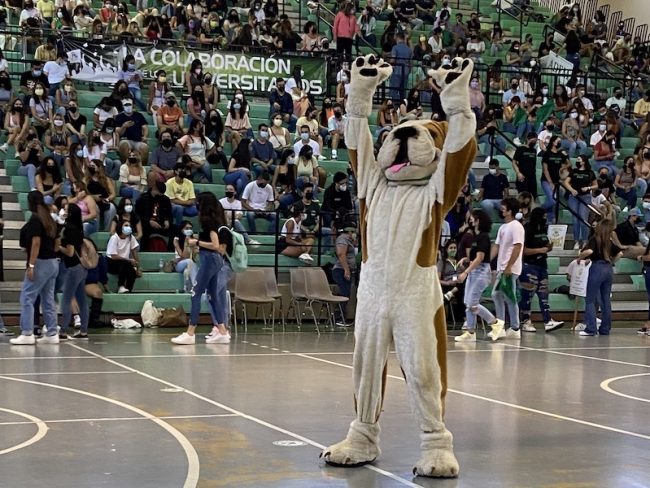 El Coliseo Rafael A. Mangual recibió a la nueva cepa de colegiales, quienes saludaron a la mascota Tarzán. (Foto por Idem Osorio De Jesús/Prensa RUM)