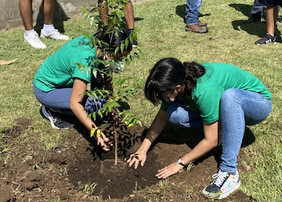 Un grupo representativo de los 210 alumnos recién admitidos al Colegio de Ciencias Agrícolas (CCA) del Recinto Universitario de Mayagüez (RUM) participó de la tradicional y simbólica actividad de siembra de un árbol con la que inicia cada clase entrante.