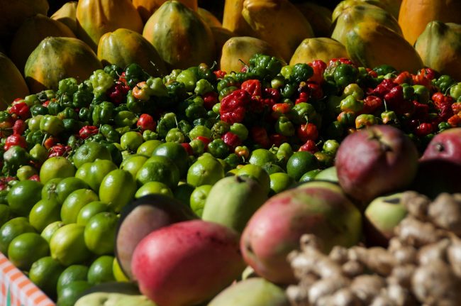 El Servicio de Extensión Agrícola (SEA) del Colegio de Ciencias Agrícolas del RUM, recibió una subvención de $750 mil del USDA, con el fin de beneficiar a agricultores y pescadores en desventaja social. (Foto SEA) SEA