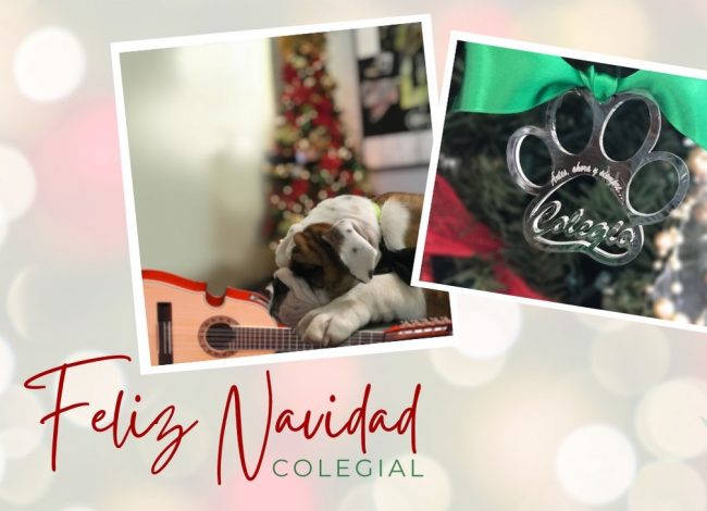 263169699_357808579480795_7638393500347105736_n