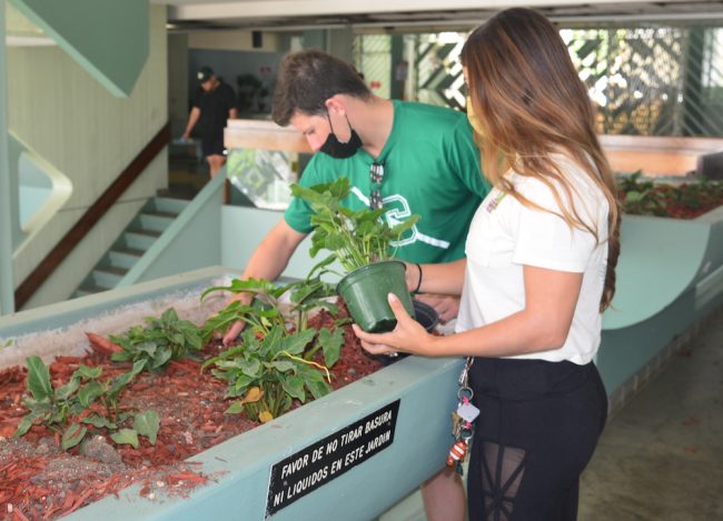 La asociación estudiantil Fraternidad Phi Eta Mu Capítulo Estudiantil (Capítulo Beta) del Recinto Universitario de Mayagüez (RUM), arrancó con el Proyecto Beta Verde, una iniciativa de embellecimiento, que cuenta con el respaldo de la institución, que tuvo como objetivo inicial remozar las jardineras del Edificio de Química. Foto Carlos Díaz/Prensa RUM Fraternidad Phi Eta Mu Capítulo Estudiantil (Capítulo Beta)