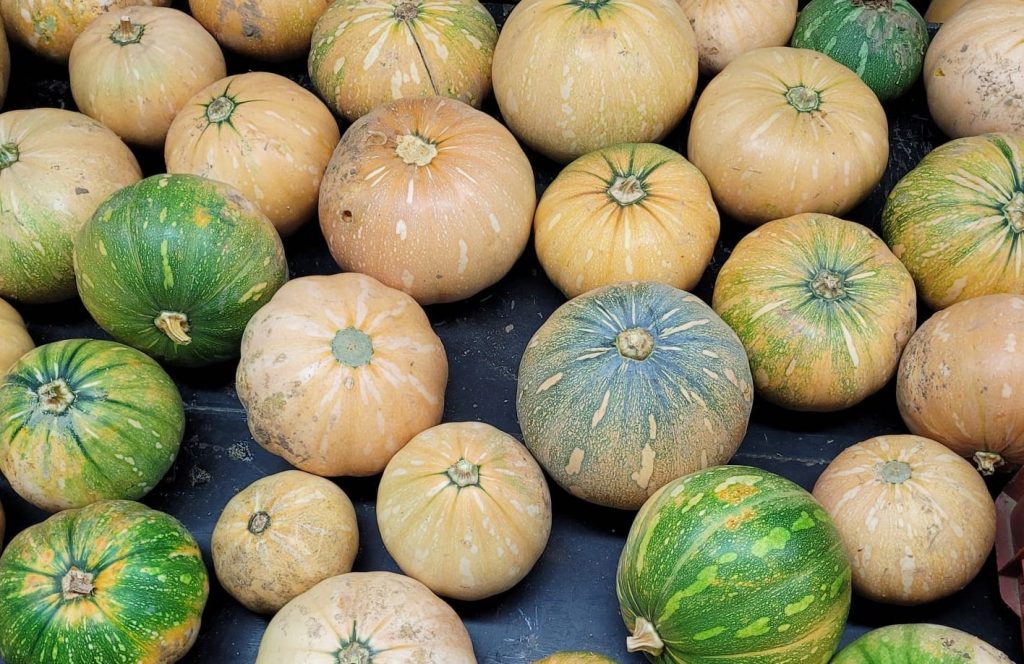 Bachillerato en Ciencia de Alimentos