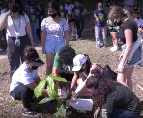 Cerca de 200 estudiantes recién admitidos al Colegio de Ciencias Agrícolas (CCA), del Recinto Universitario de Mayagüez (RUM), plantaron su arbolito en tierra de Juanas y Tarzanes, dejando así su legado como parte de la simbólica y tradicional actividad que realiza esa facultad al inicio de la Semana de Orientación.