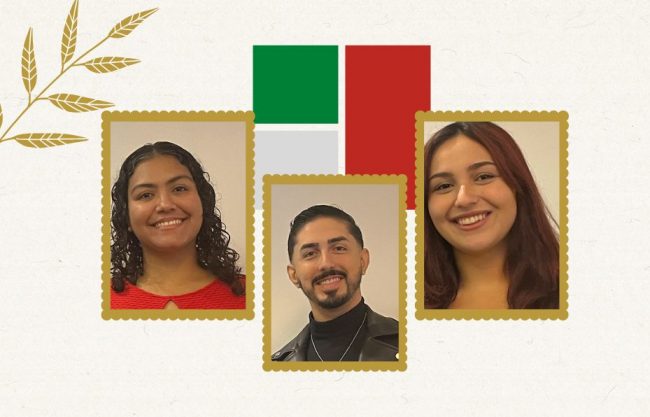 Violet and Brown Modern Furniture Minimalist Facebook Post