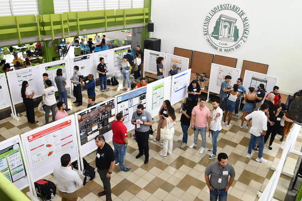 Los colegiales que forman parte del proyecto Recruiting, Retaining, and Engaging Academically Talented Students from Economically Disadvantaged Groups into a Pathway to Successful Engineering Career, conocido como Engineering PEARLS del Recinto Universitario de Mayagüez (RUM), en conjunto con los representantes de iniciativas pares subvencionadas por la Fundación Nacional de la Ciencia (NSF), presentaron recientemente los hallazgos de sus investigaciones, en una exhibición de afiches que destacó el trabajo y esfuerzo de sus carreras académicas.