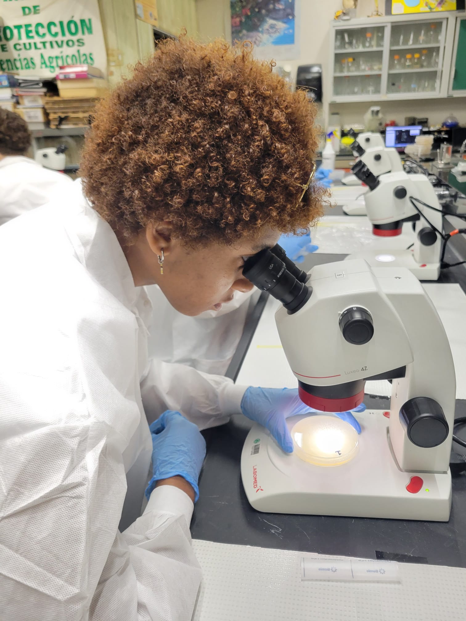 La misión del evento veraniego fue que los jóvenes tuvieran la oportunidad de explorar los 12 programas académicos del CCA, con el fin de que puedan considerar como una alternativa de estudio.  Suministrada Agriculture Week Challenge