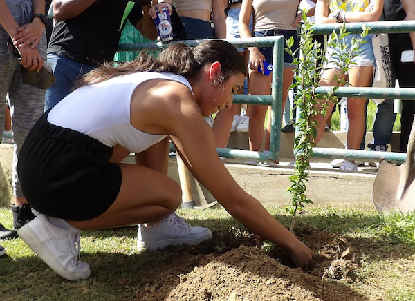 Doscientos diecisiete estudiantes iniciaron su jornada académica esta semana en el Colegio de Ciencias Agrícolas (CCA) del Recinto Universitario de Mayagüez (RUM), ocasión que quedó plasmada en el campus con la siembra de un arbusto que simboliza su compromiso con las disciplinas que estudiarán y el crecimiento de sus carreras.