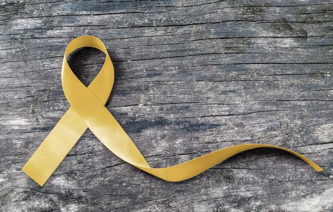 Screen Shot 2023-09-22 at 2.59.15 PM