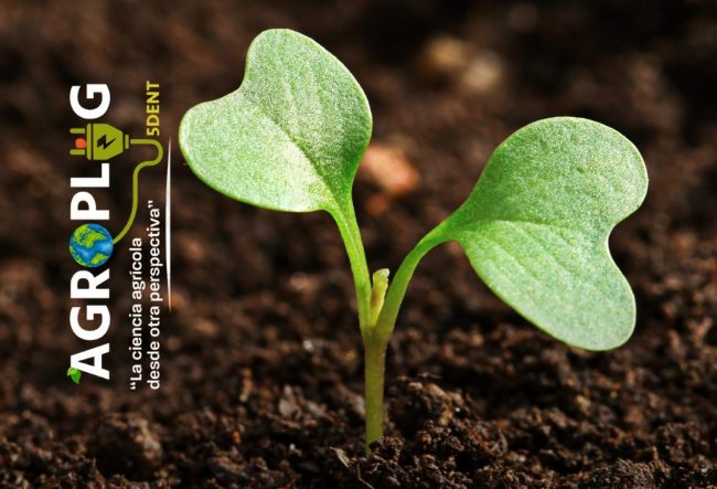 Brown Green Colorful Modern Minimal Photo 5 December World Soil Day Instagram Post (2)