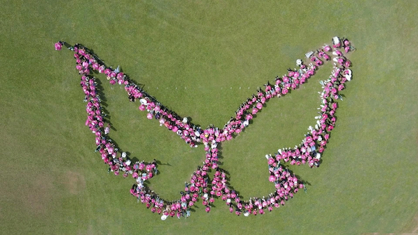 POrtada Foto aérea de los participantes en la Marcha vestidos de rosa y formando la figura de una mariposa en el campo atlético del RUM.