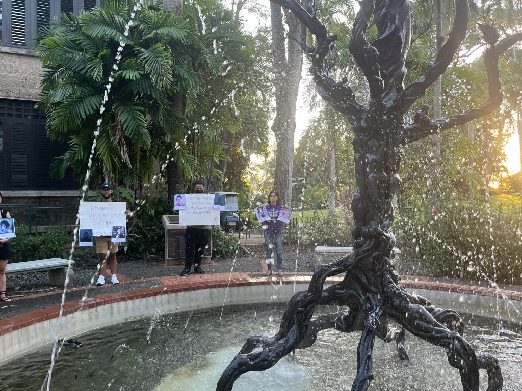 En una caminata silenciosa, portando las fotografías de las fallecidas, se dirigieron desde la Casita de las Mujeres hacia la emblemática escultura del Árbol de la Vida. Allí, pronunciaron sus nombres para dar visibilidad a sus historias y hacer un llamado para detener la violencia.